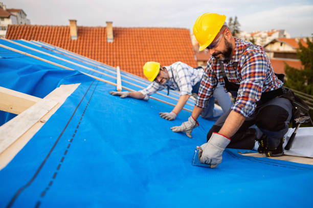Roof Gutter Cleaning in Whitefish Bay, WI